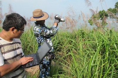 �������Μy(c��)��